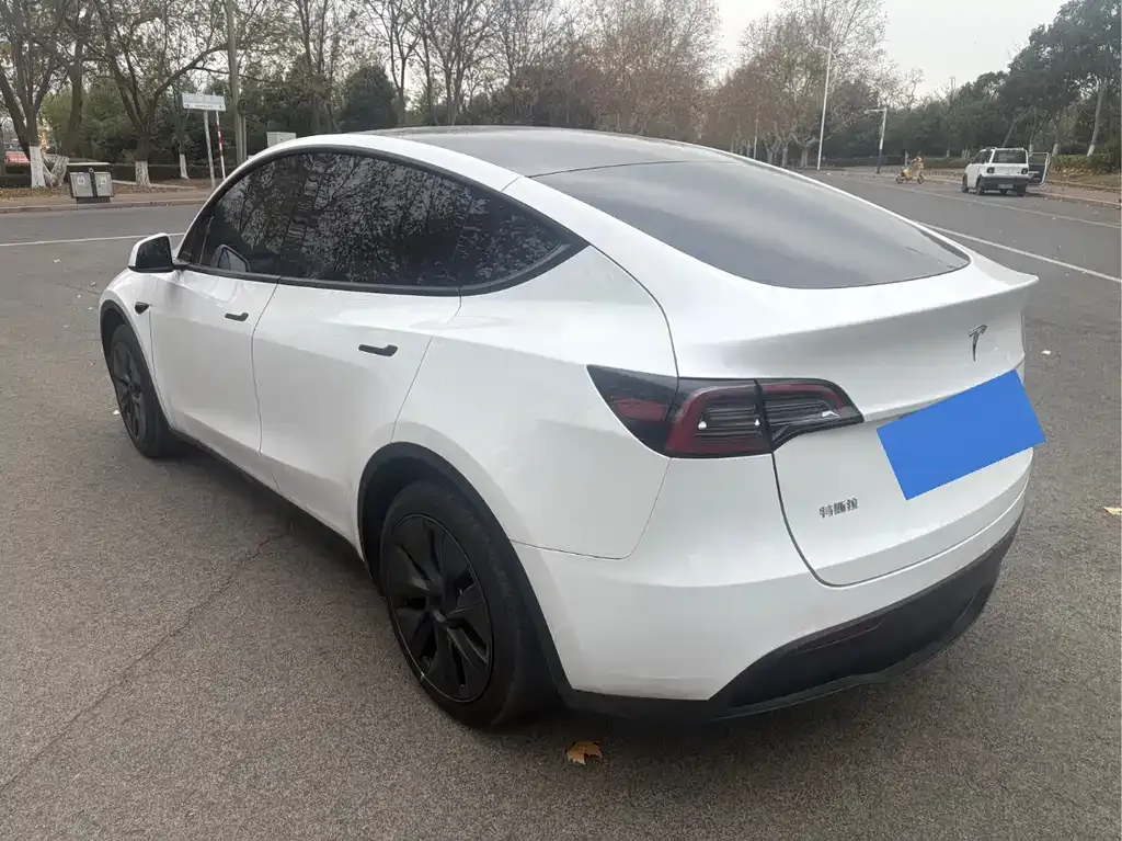 Tesla Model Y — фото 5