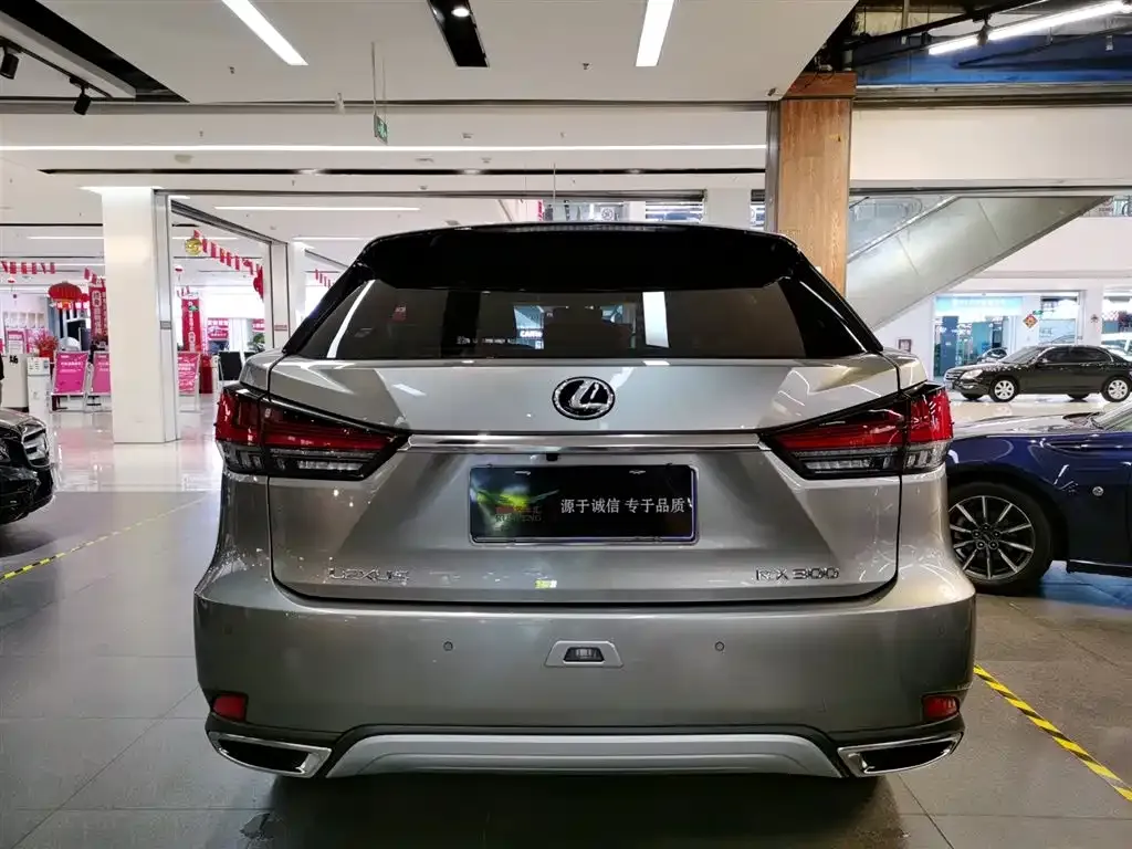 Lexus RX — фото 10
