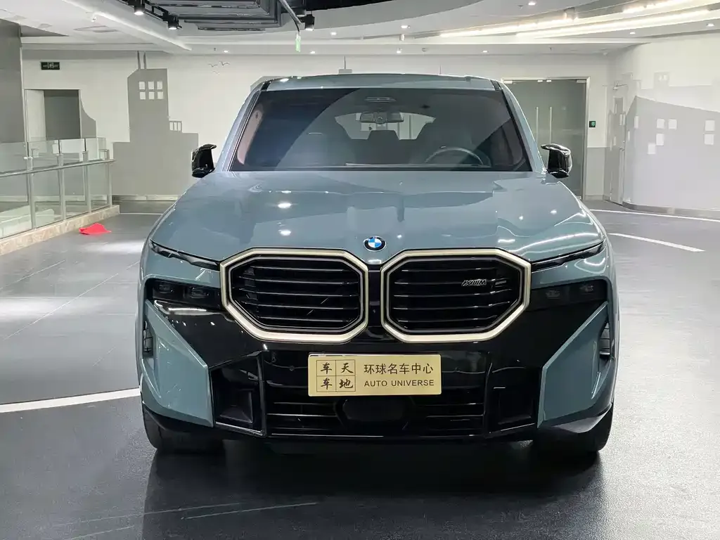 BMW XM — фото 6