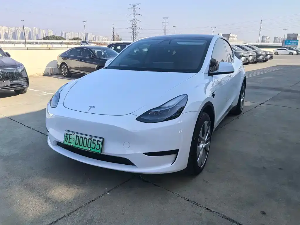 Tesla Model Y — фото 1