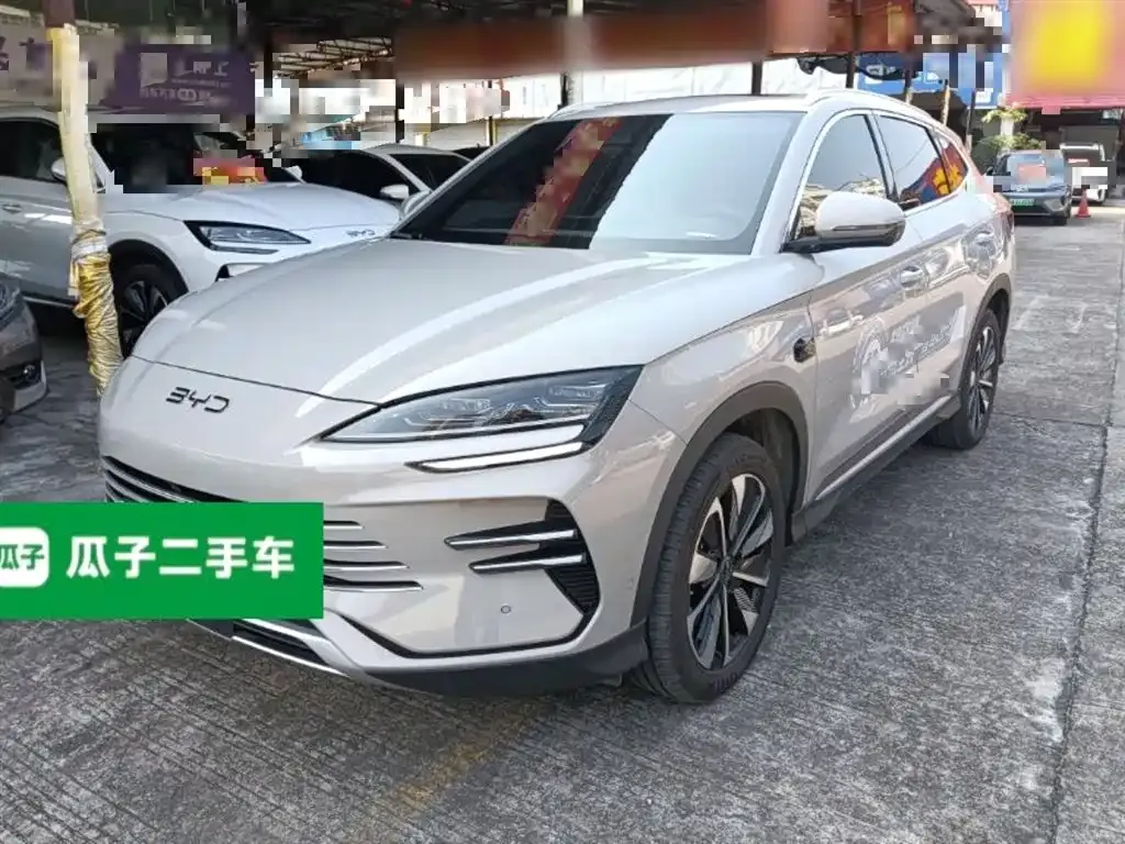 BYD PLUS New Energy — фото 2
