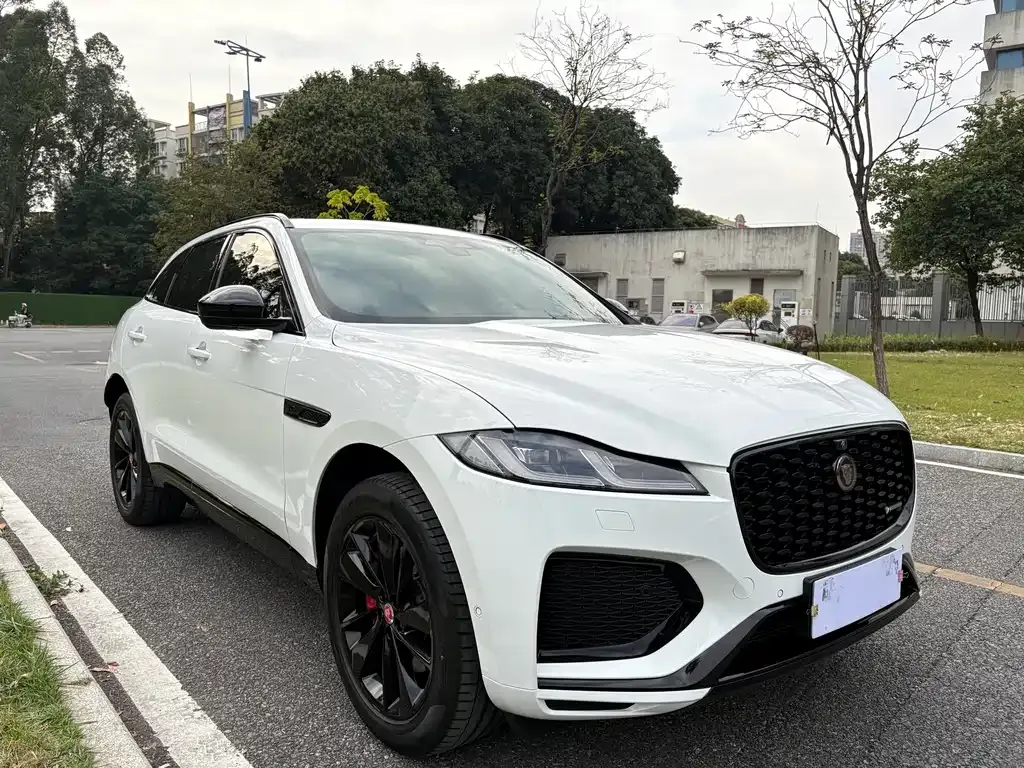 Jaguar F-PACE — фото 9