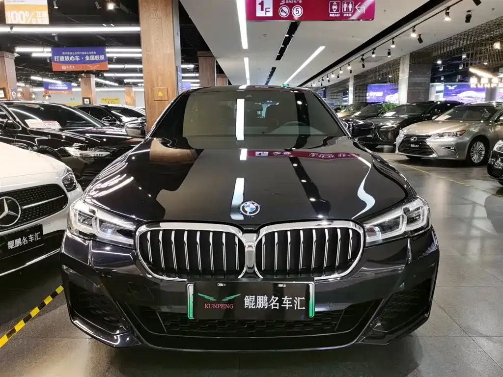 BMW 5 Series New Energy — фото 10
