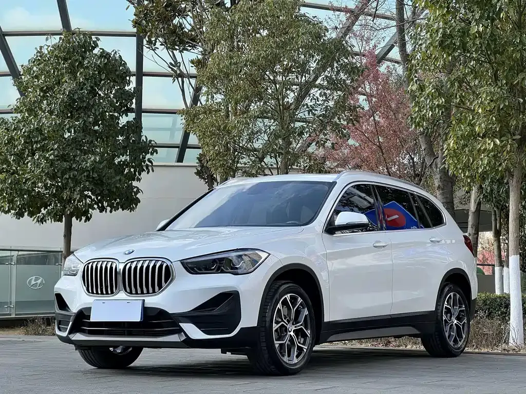BMW X1 — фото 1