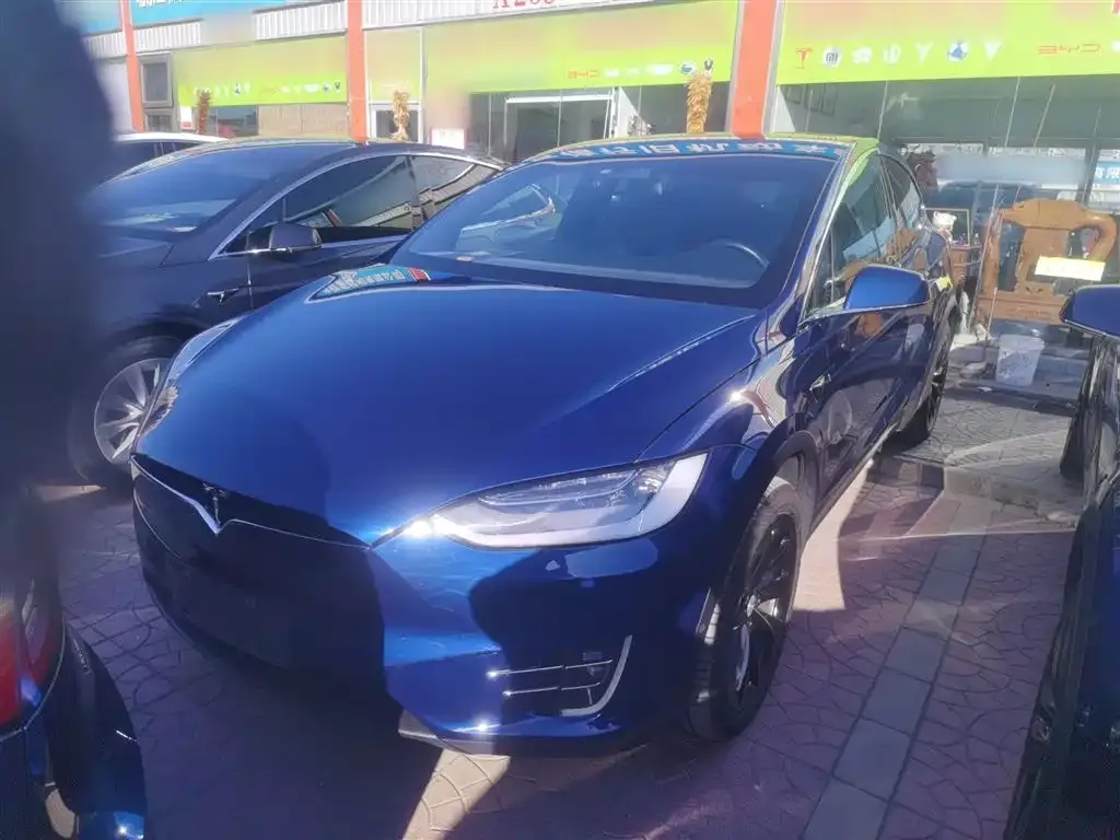 Tesla Model X — фото 9