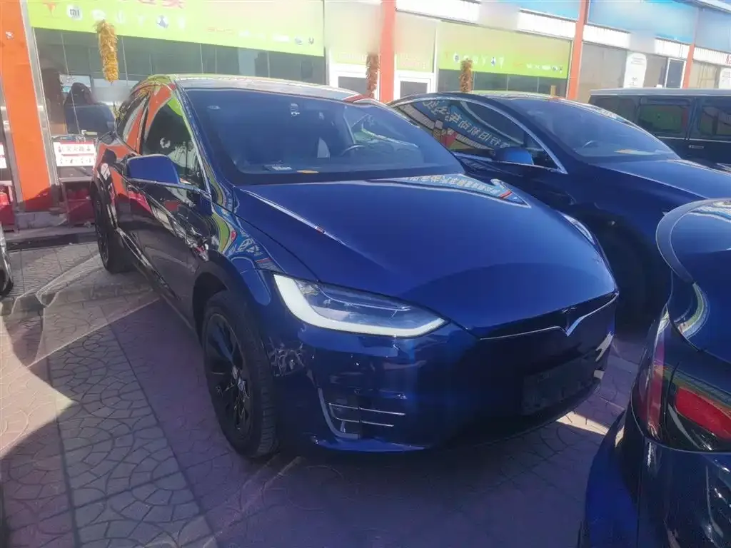 Tesla Model X — фото 8