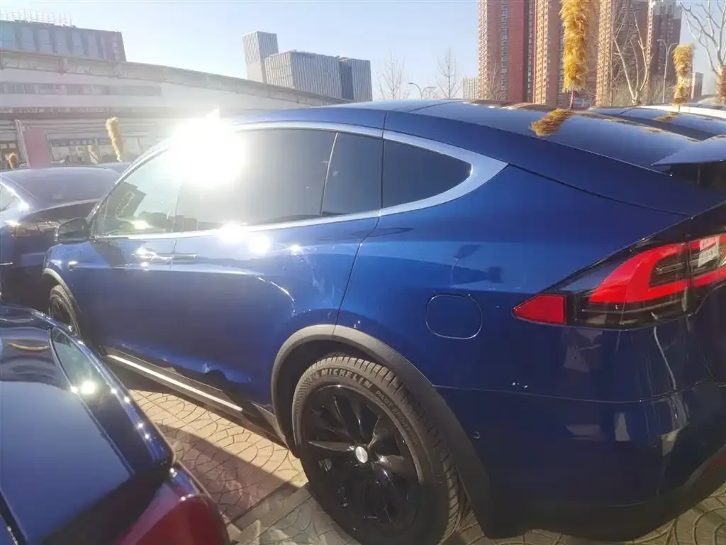 Tesla Model X — фото 10