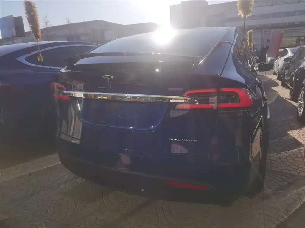 Tesla Model X — фото 2
