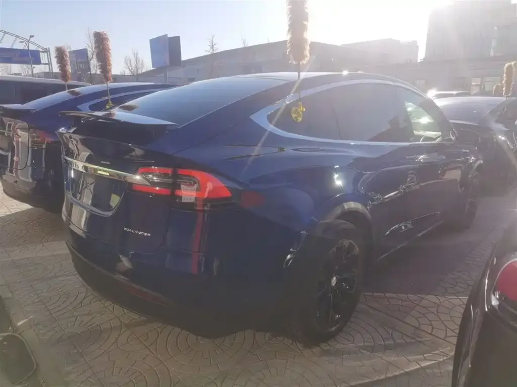 Tesla Model X — фото 5