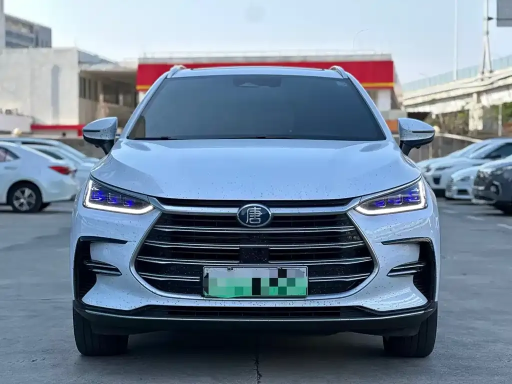 BYD Tang New Energy — фото 2