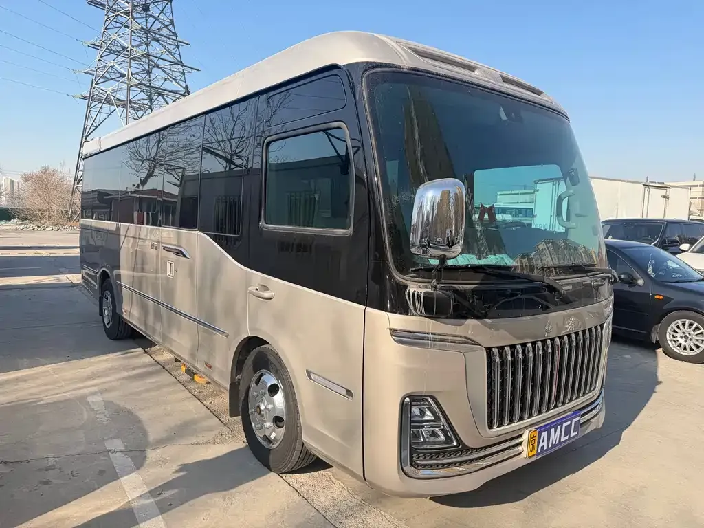 Hongqi Golden Sunflower Guoyue — фото 10
