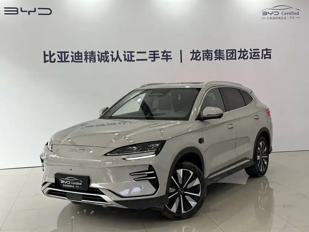 BYD PLUS New Energy — фото 1