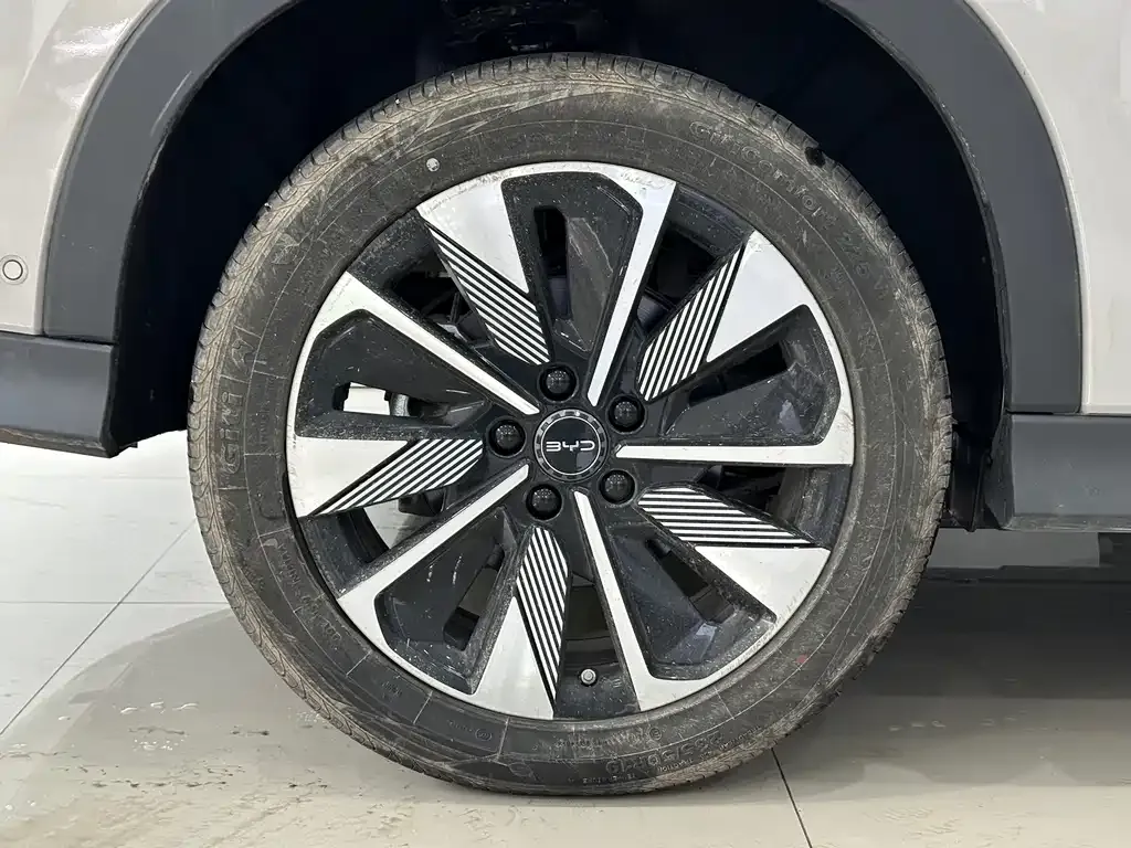 BYD PLUS New Energy — фото 10