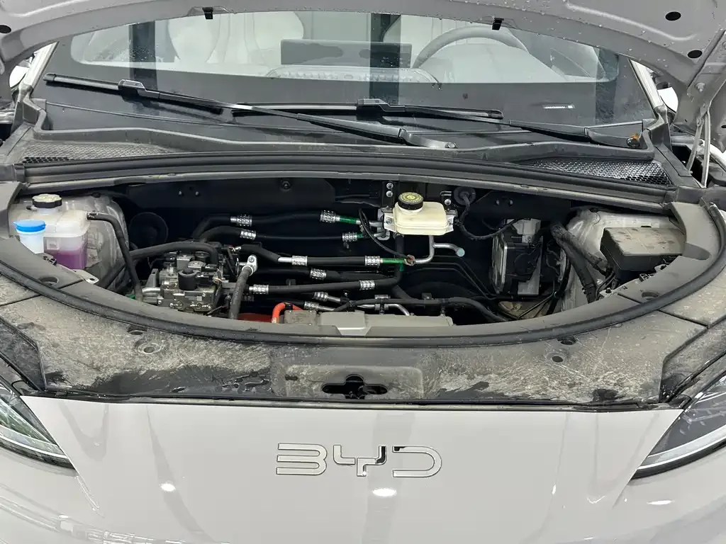 BYD PLUS New Energy — фото 8