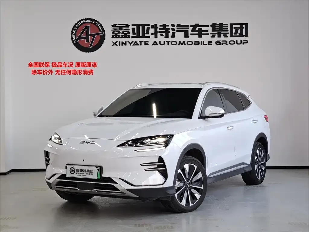 BYD PLUS New Energy — фото 1