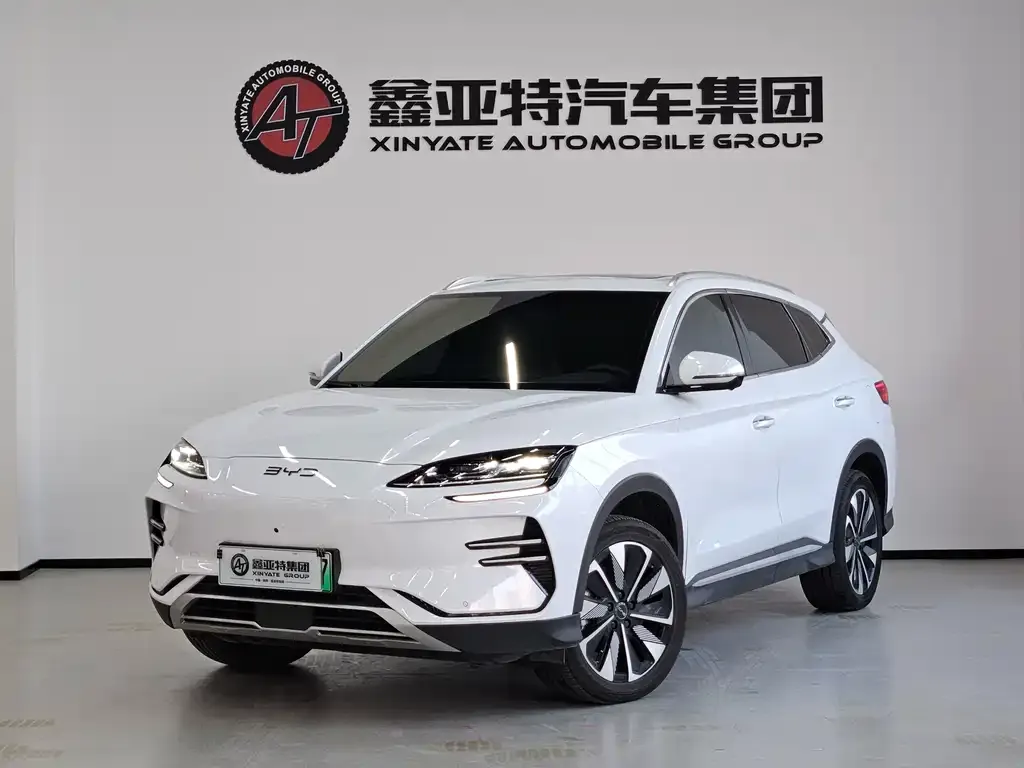 BYD PLUS New Energy — фото 8