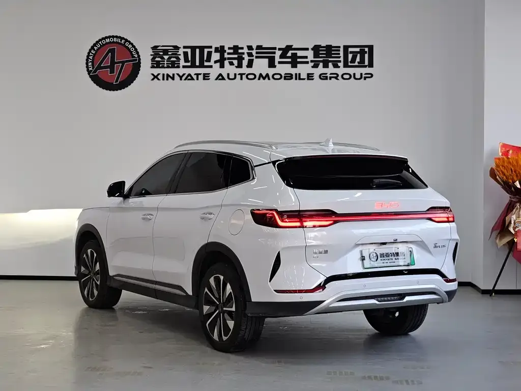 BYD PLUS New Energy — фото 4