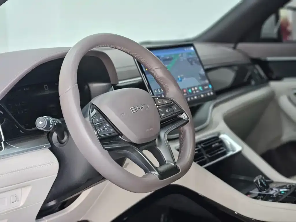 BYD PLUS New Energy — фото 2