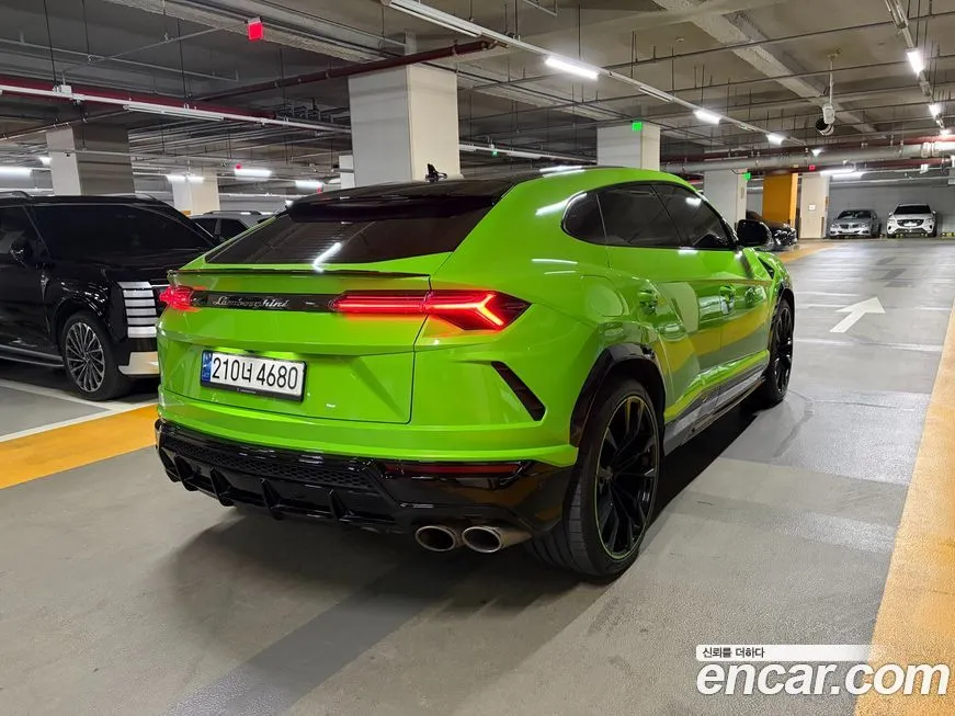 Lamborghini Urus — фото 4