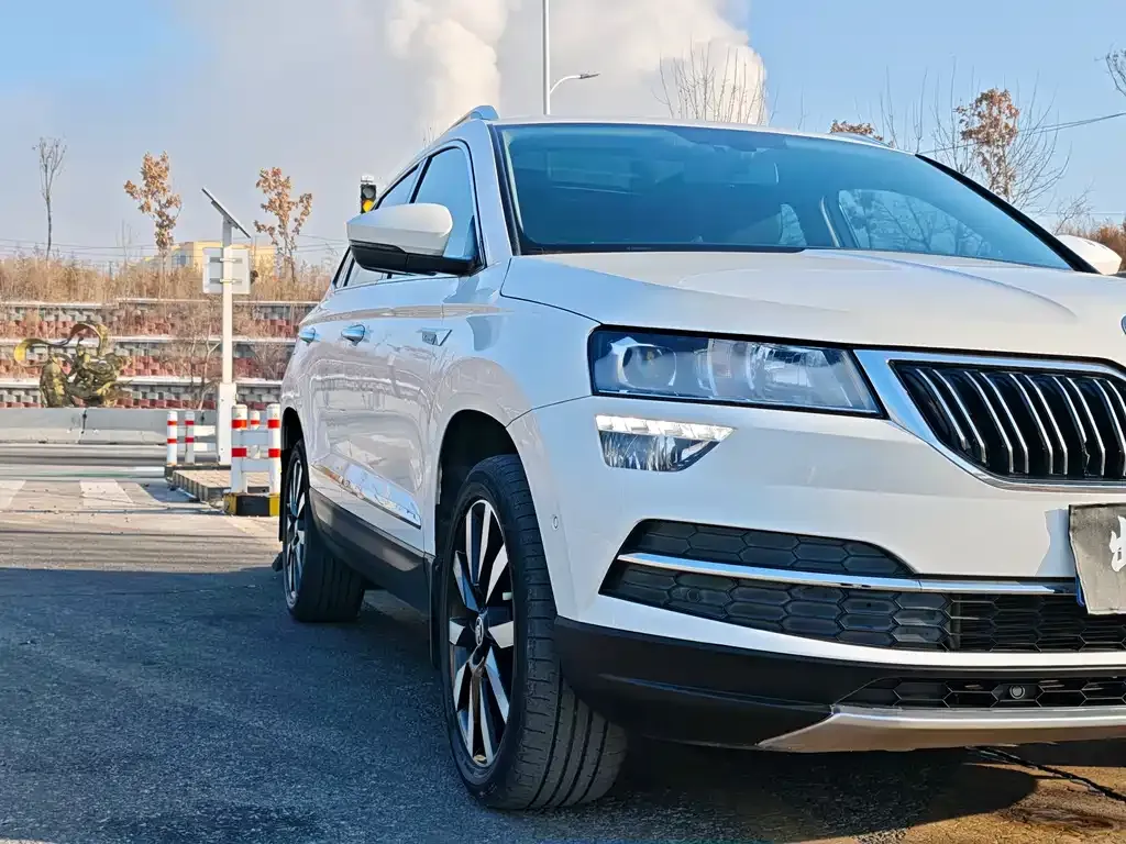 Skoda Karoq — фото 6