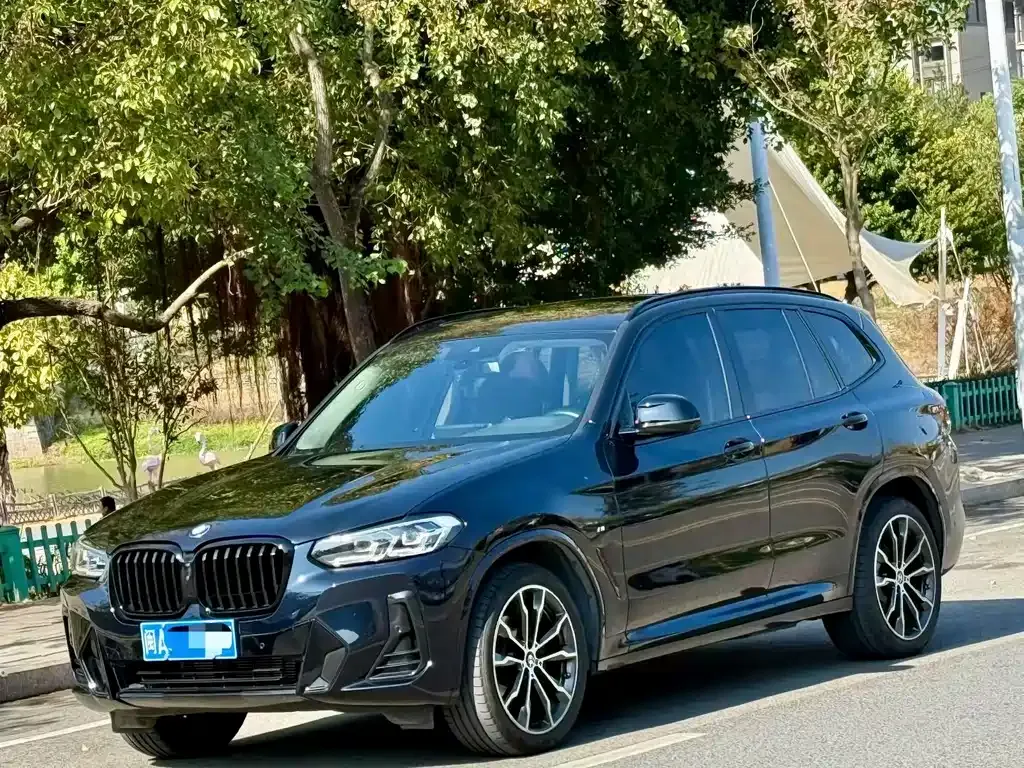 BMW X3 — фото 1