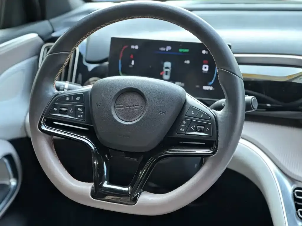BYD Pro New Energy — фото 2
