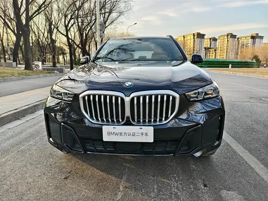 BMW X5 — фото 10