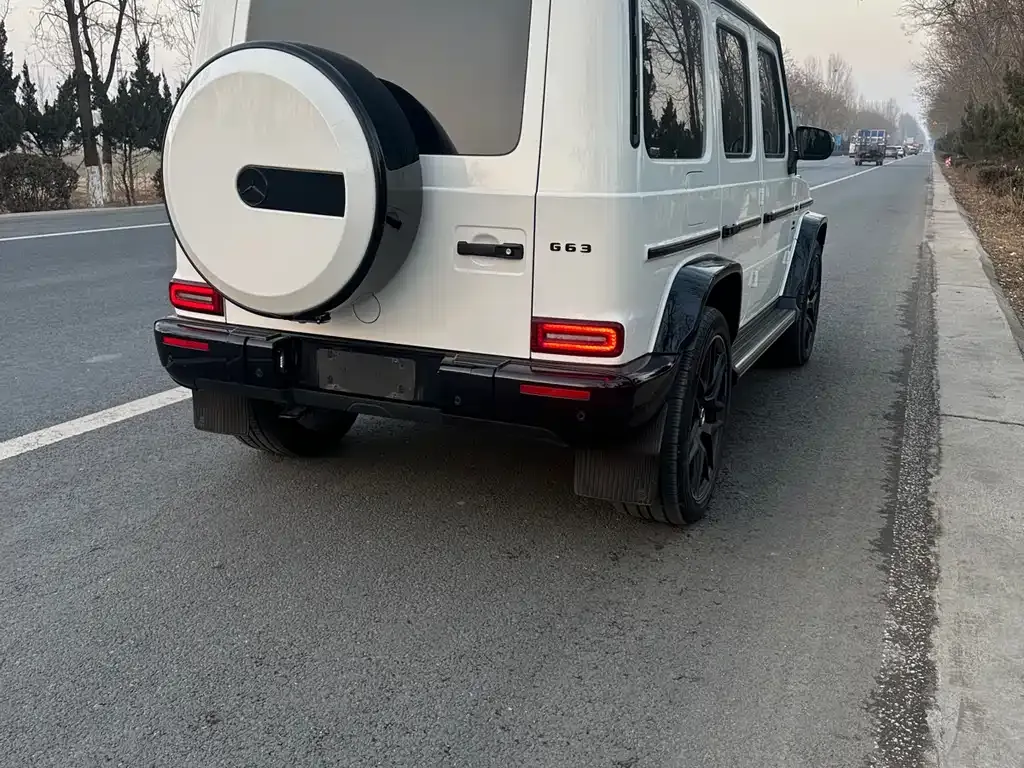 Mercedes-Benz G-Class AMG — фото 8