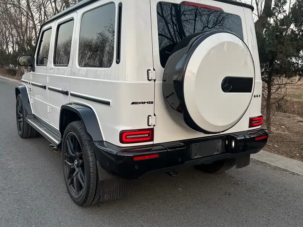 Mercedes-Benz G-Class AMG — фото 6