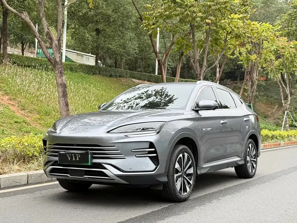 BYD PLUS New Energy — фото 1