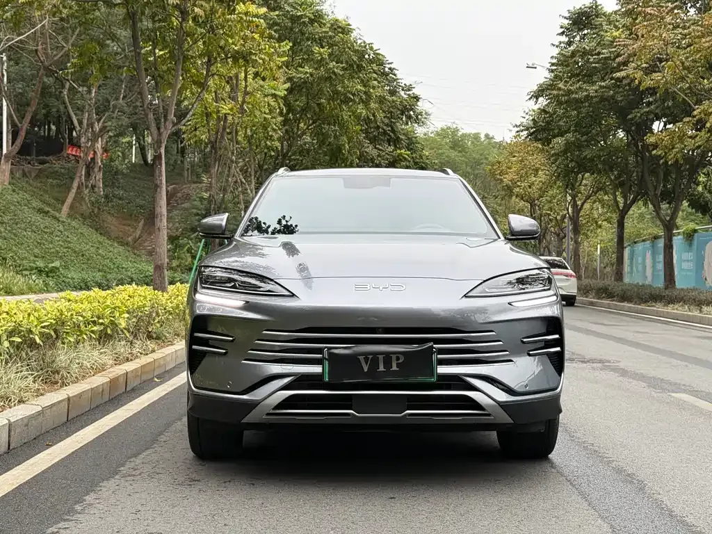 BYD PLUS New Energy — фото 10