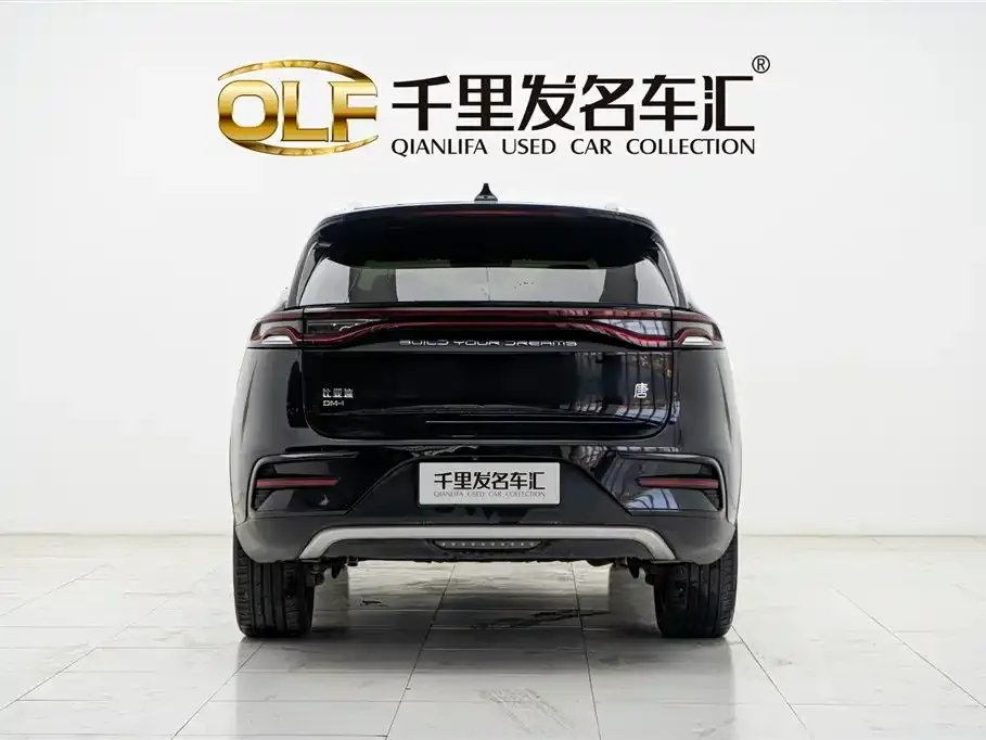 BYD Tang New Energy — фото 2