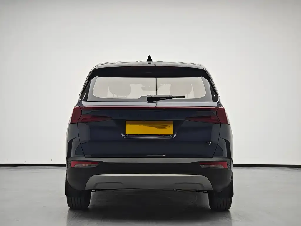 Hyundai Custo — фото 6