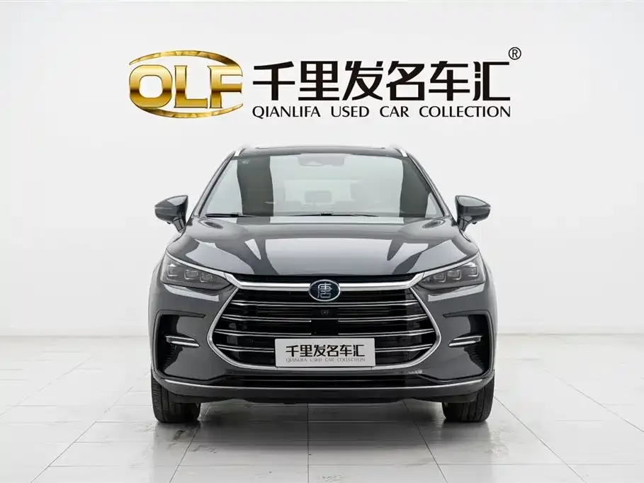 BYD Tang New Energy — фото 1