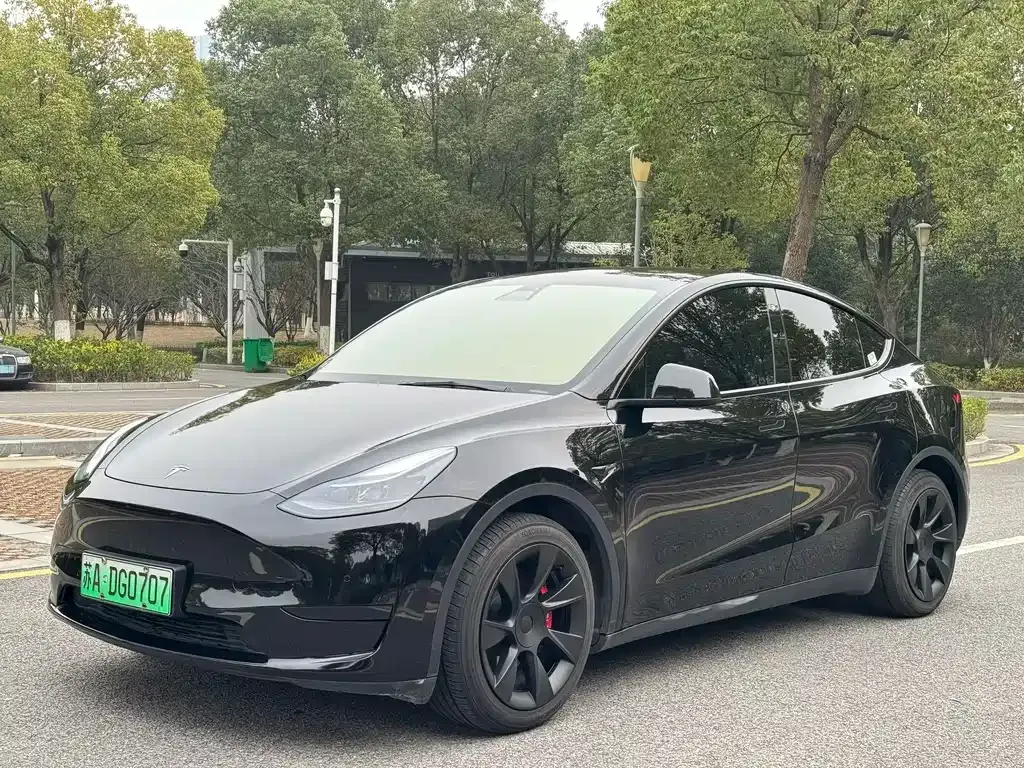 Tesla Model Y — фото 1