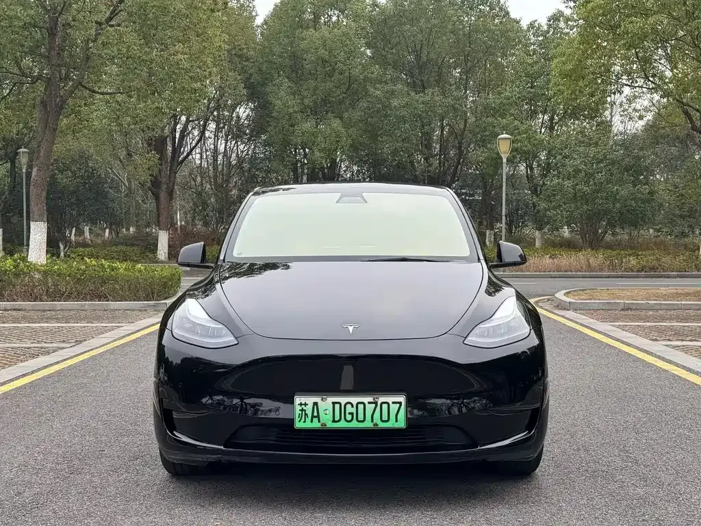 Tesla Model Y — фото 9