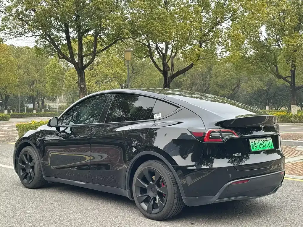 Tesla Model Y — фото 8