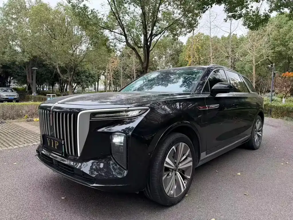 Hongqi E-HS9 — фото 1
