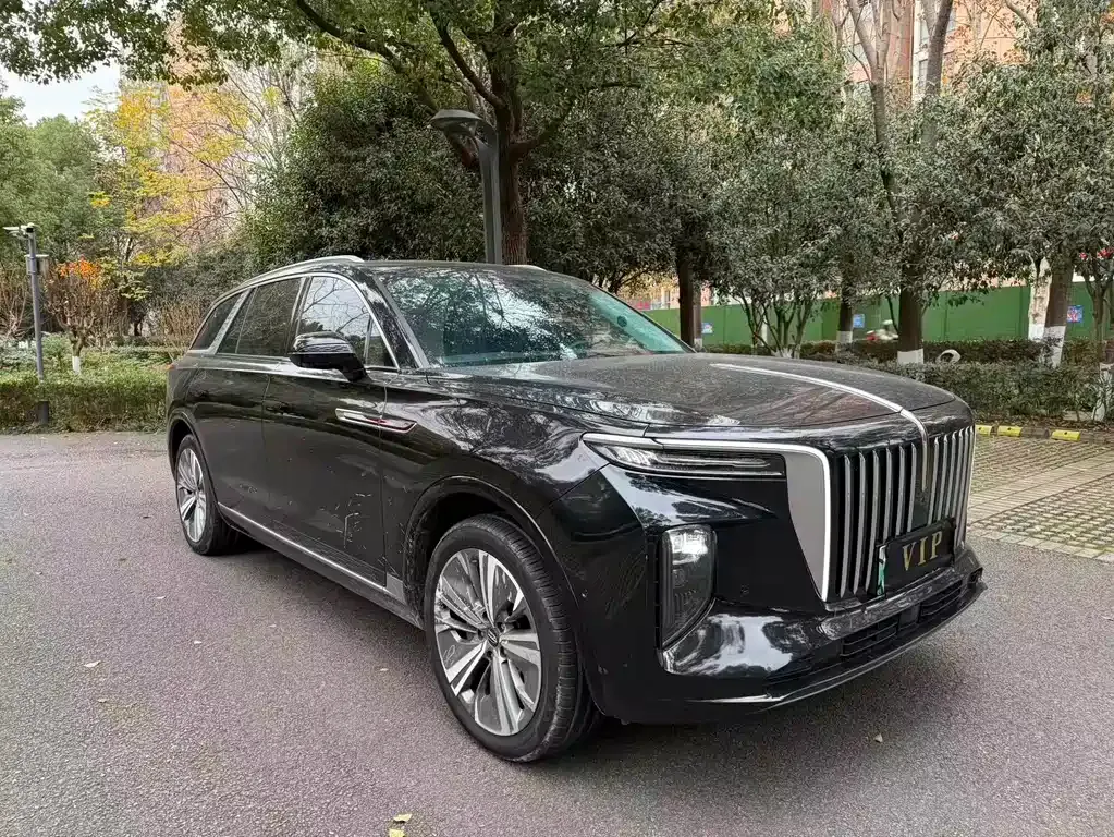Hongqi E-HS9 — фото 3