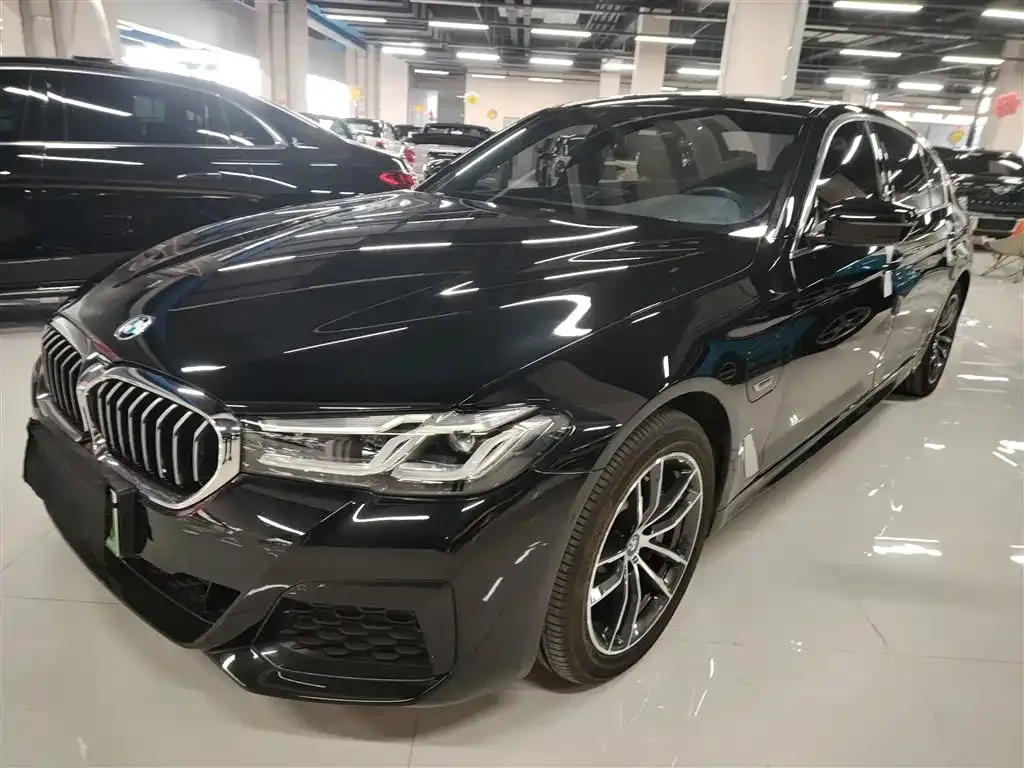 BMW 5 Series New Energy — фото 4