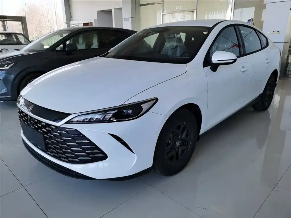 BYD Qin PLUS — фото 1