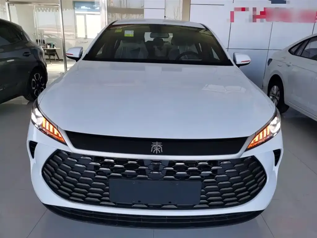 BYD Qin PLUS — фото 4