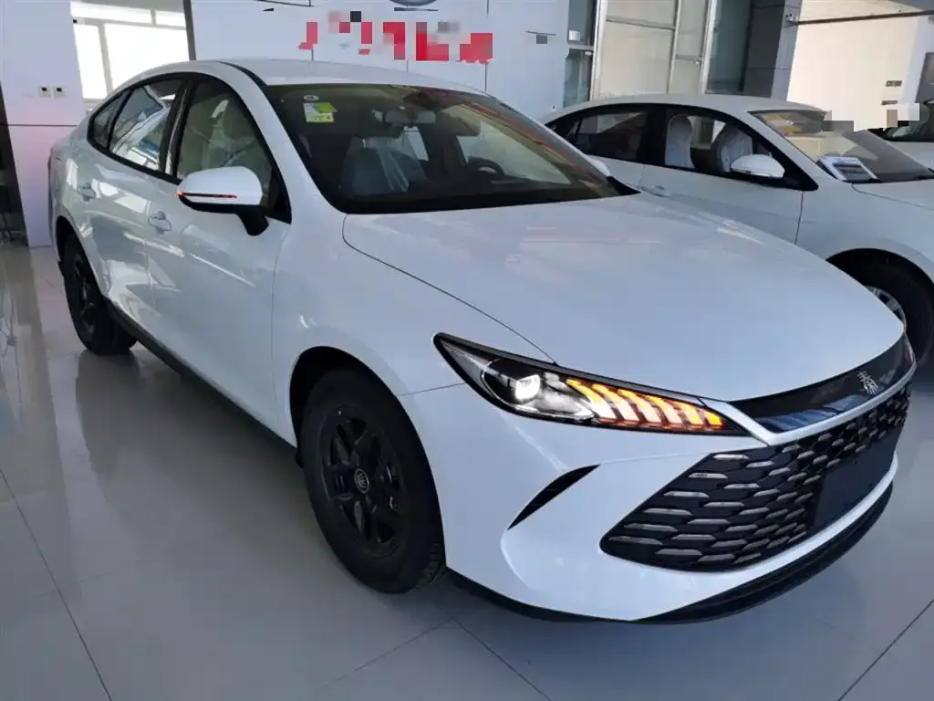 BYD Qin PLUS — фото 2