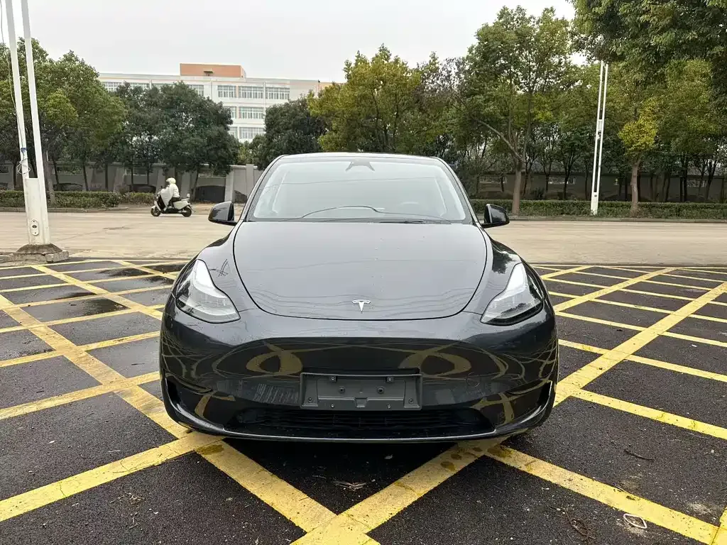 Tesla Model Y — фото 1