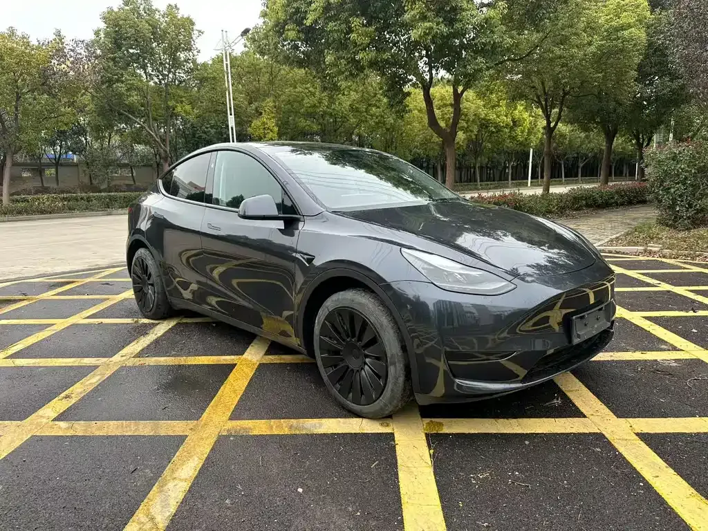 Tesla Model Y — фото 9