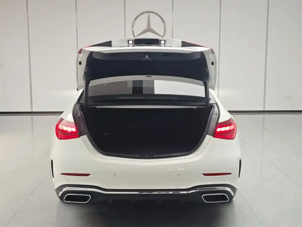 Mercedes-Benz C-Class New Energy — фото 2