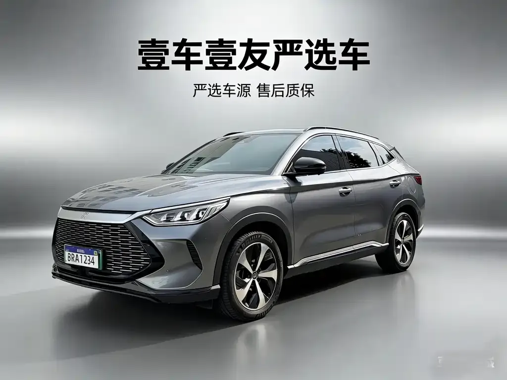 BYD PLUS New Energy — фото 1