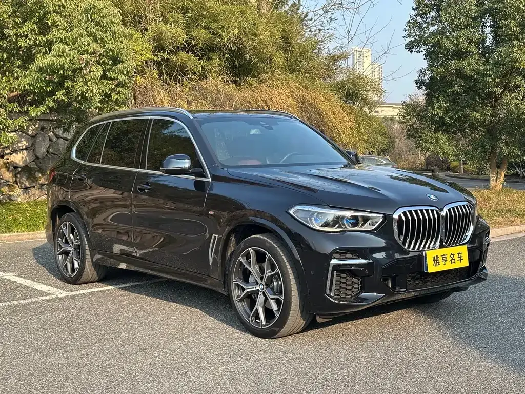 BMW X5 — фото 9