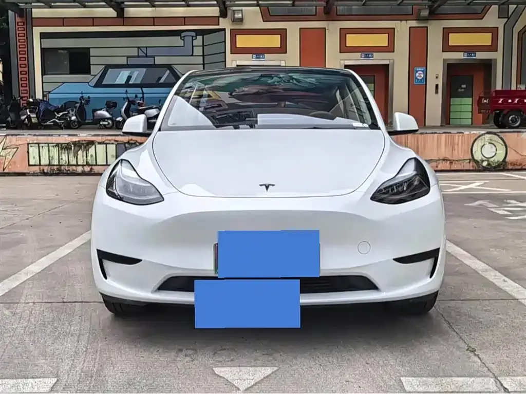 Tesla Model Y — фото 2