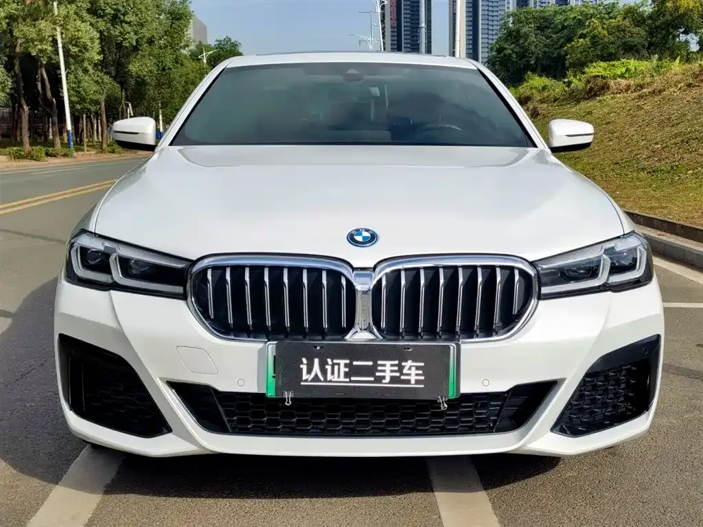 BMW 5 Series New Energy — фото 6
